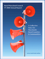 2008 annual report