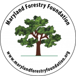 MFF_Logo_Seal